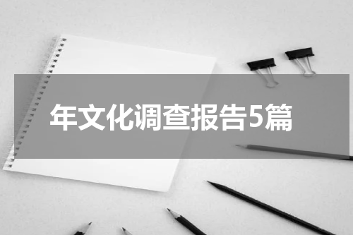 年文化调查报告5篇