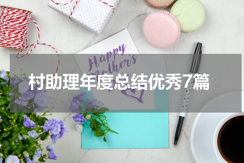 村助理年度总结优秀7篇