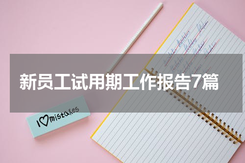 新员工试用期工作报告7篇