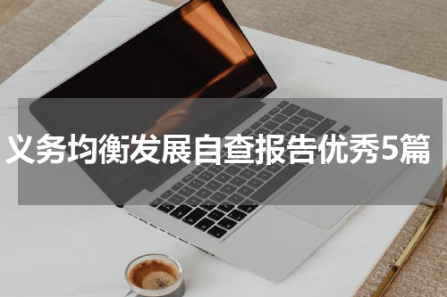 义务均衡发展自查报告优秀5篇