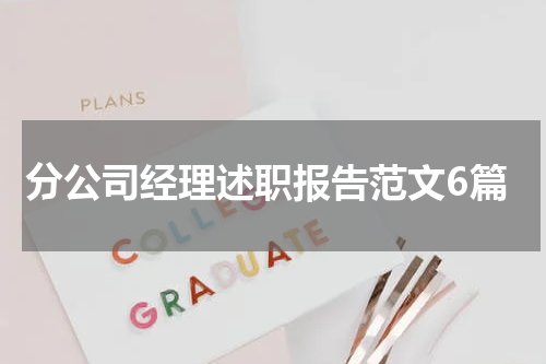 分公司经理述职报告范文6篇