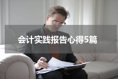 会计实践报告心得5篇