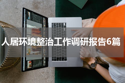 人居环境整治工作调研报告6篇