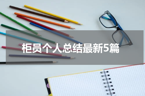 柜员个人总结最新5篇