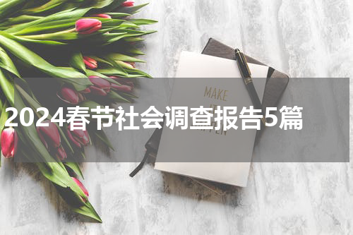 2024春节社会调查报告5篇