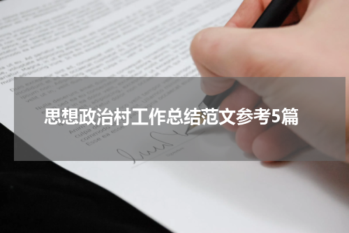 思想政治村工作总结范文参考5篇