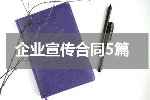 企业宣传合同5篇