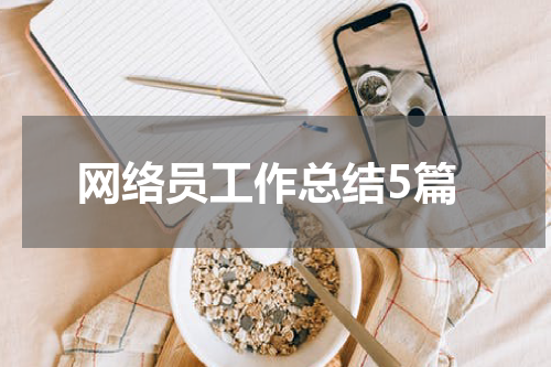 网络员工作总结5篇