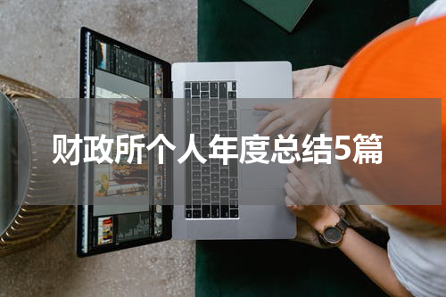 财政所个人年度总结5篇