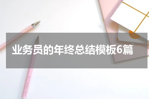 业务员的年终总结模板6篇