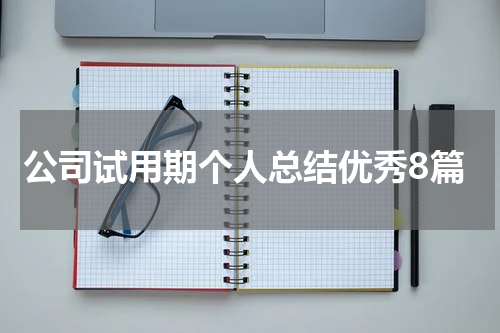 公司试用期个人总结优秀8篇