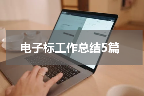 电子标工作总结5篇