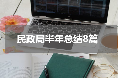民政局半年总结8篇