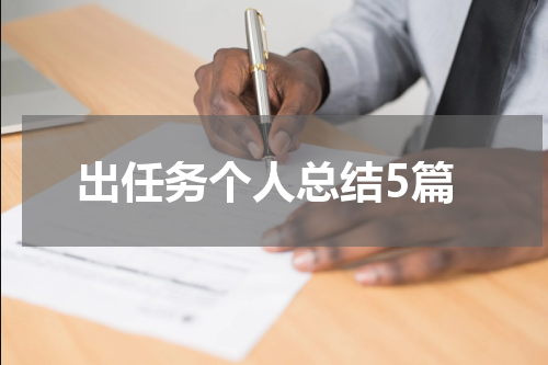 出任务个人总结5篇