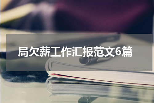 局欠薪工作汇报范文6篇
